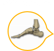 Ankle Pathology