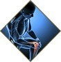 Orthopaedic Health Group - Knee