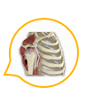 Shoulder Surgery